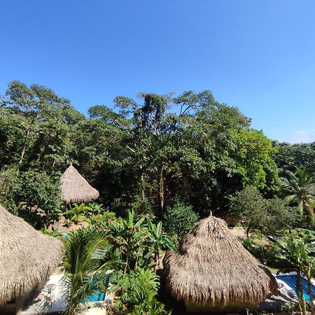 Colibri Parque Tayrona Dentro Del Parque Nacional Tayrona Bed and Breakfast El Zaino Buitenkant foto