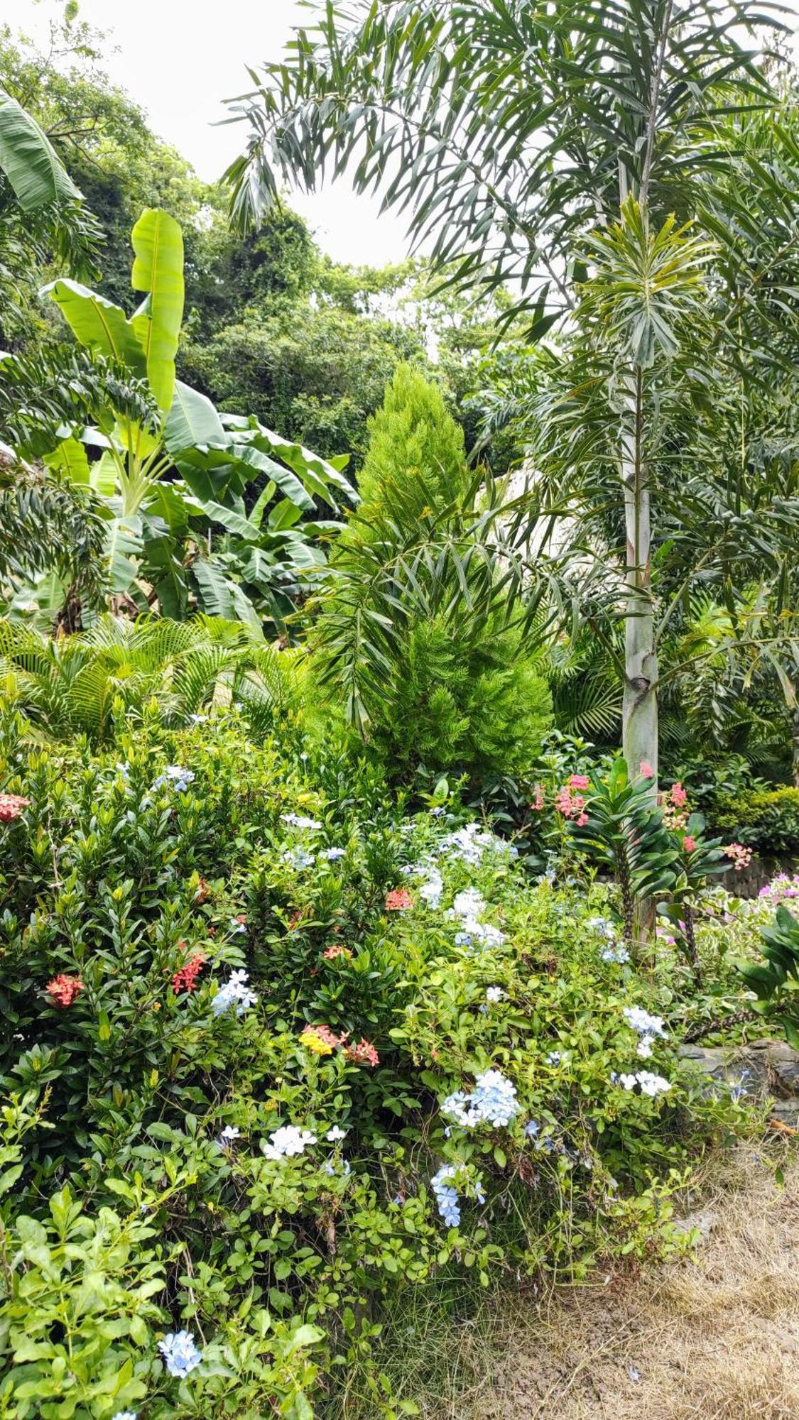 Colibri Parque Tayrona Dentro Del Parque Nacional Tayrona Bed and Breakfast El Zaino Buitenkant foto