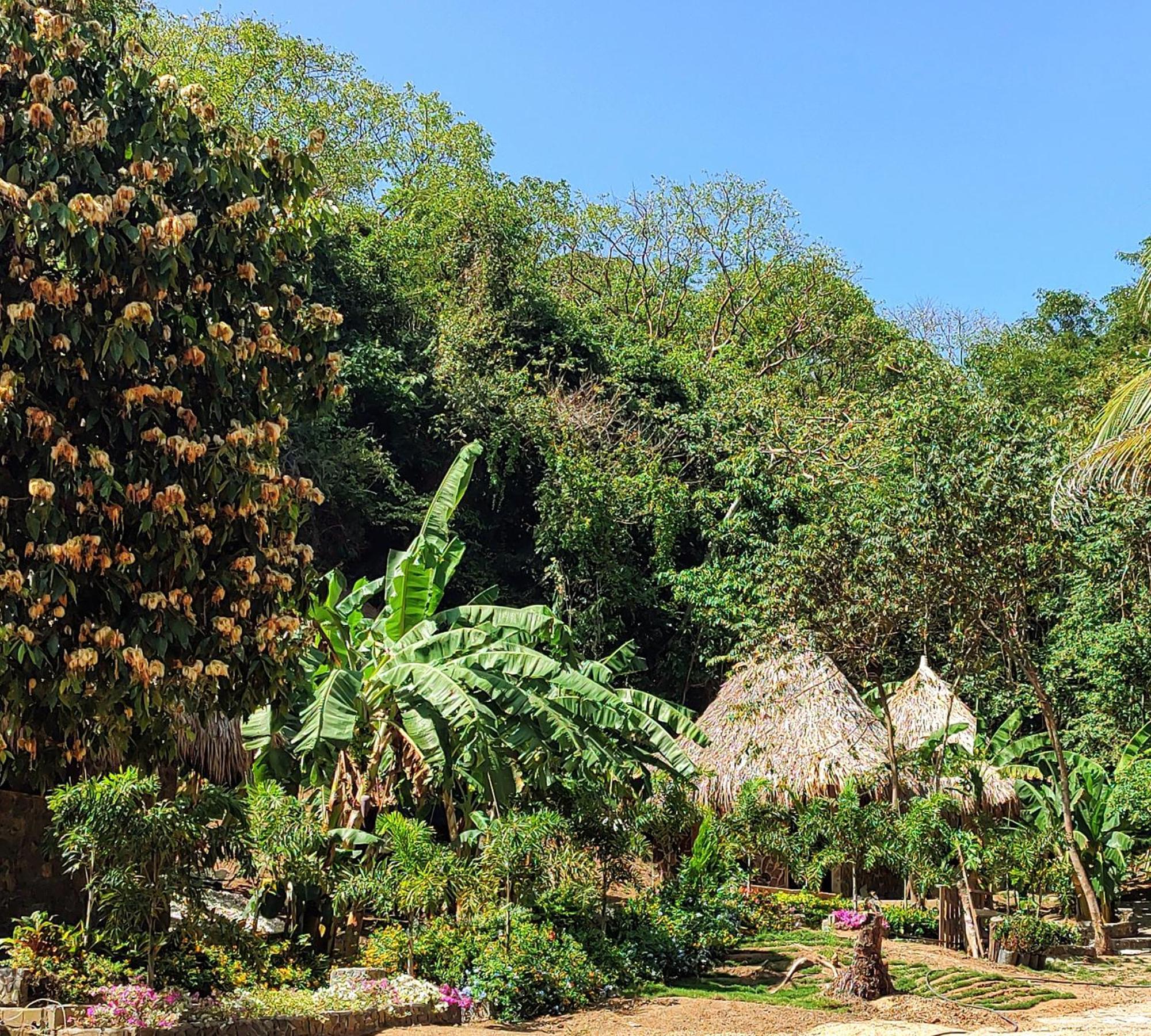 Colibri Parque Tayrona Dentro Del Parque Nacional Tayrona Bed and Breakfast El Zaino Buitenkant foto