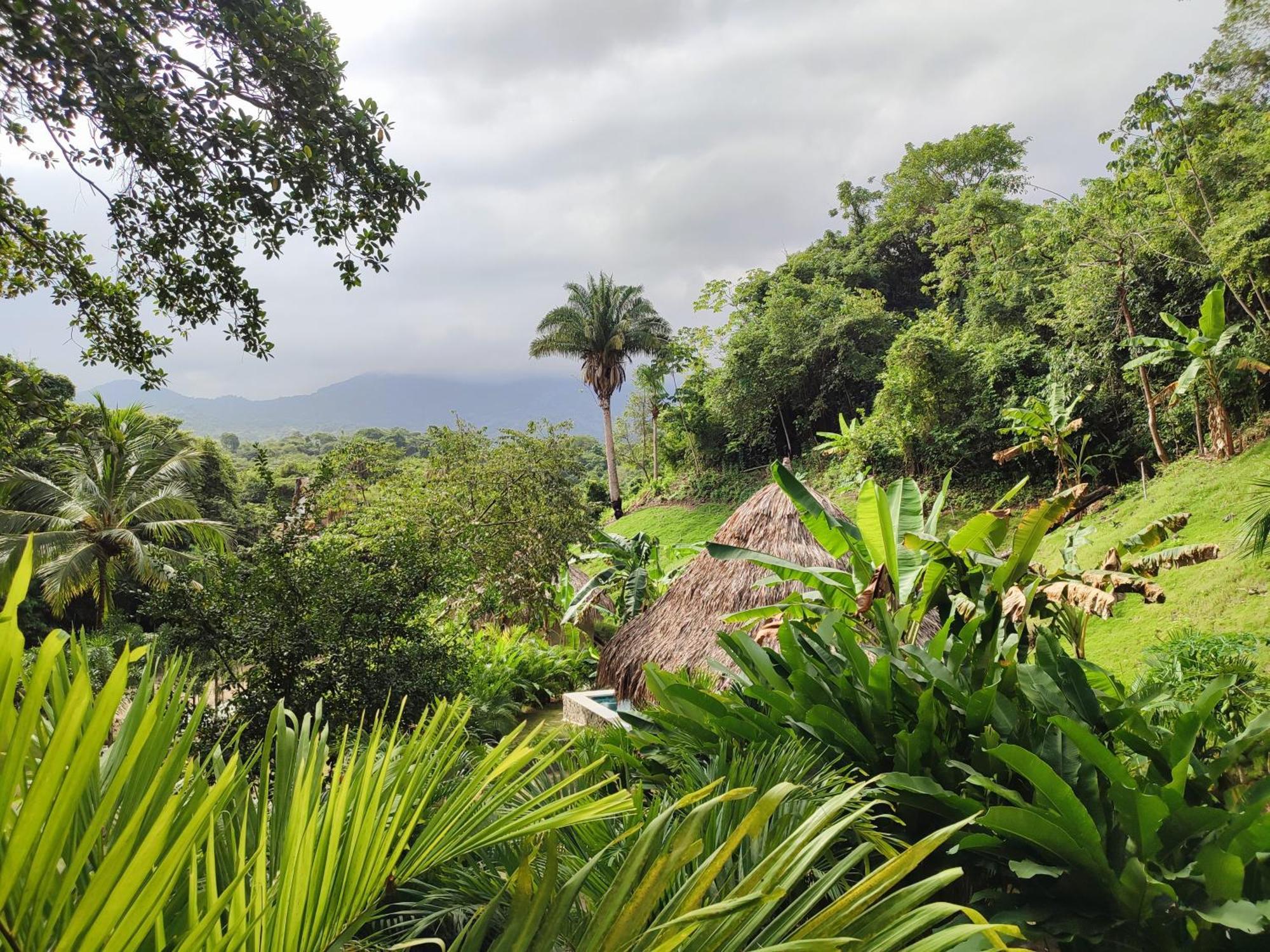 Colibri Parque Tayrona Dentro Del Parque Nacional Tayrona Bed and Breakfast El Zaino Buitenkant foto
