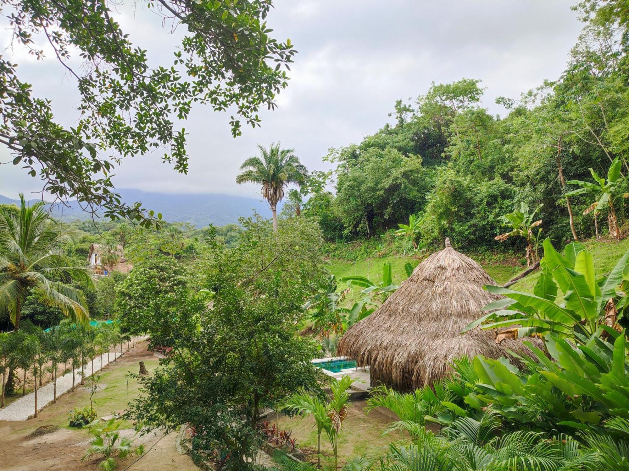 Colibri Parque Tayrona Dentro Del Parque Nacional Tayrona Bed and Breakfast El Zaino Buitenkant foto