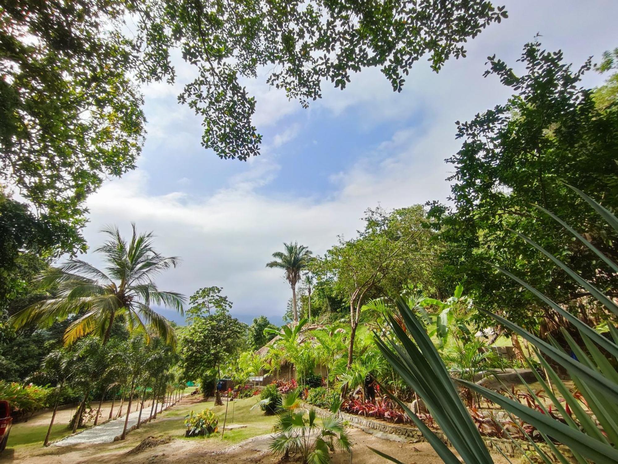 Colibri Parque Tayrona Dentro Del Parque Nacional Tayrona Bed and Breakfast El Zaino Buitenkant foto