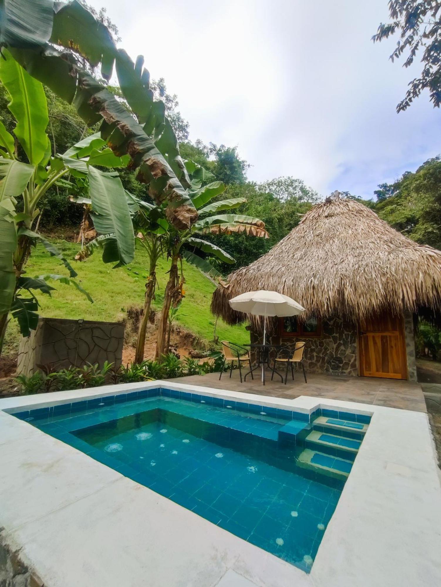 Colibri Parque Tayrona Dentro Del Parque Nacional Tayrona Bed and Breakfast El Zaino Buitenkant foto