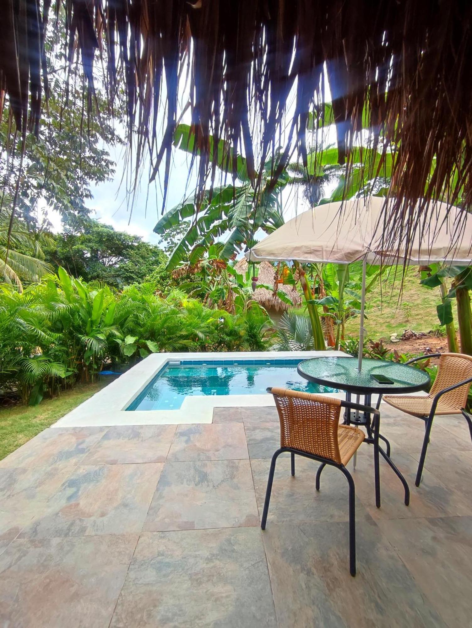 Colibri Parque Tayrona Dentro Del Parque Nacional Tayrona Bed and Breakfast El Zaino Buitenkant foto