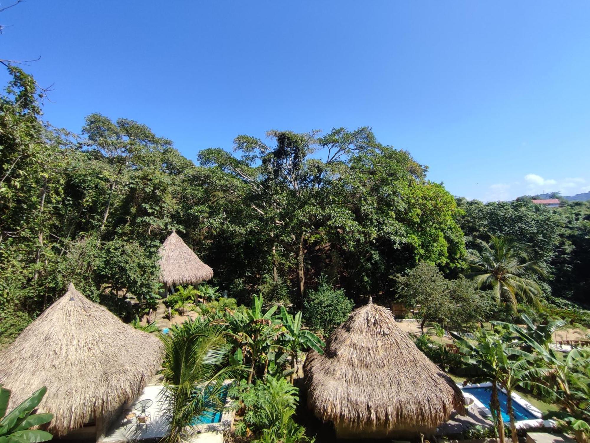 Colibri Parque Tayrona Dentro Del Parque Nacional Tayrona Bed and Breakfast El Zaino Buitenkant foto